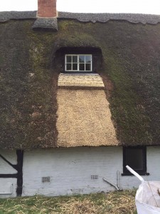 Thatched Roof Repairs