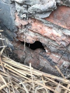 Chimney Damage on a Thatched Roof