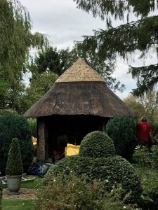 Re-Thatch Small Hut